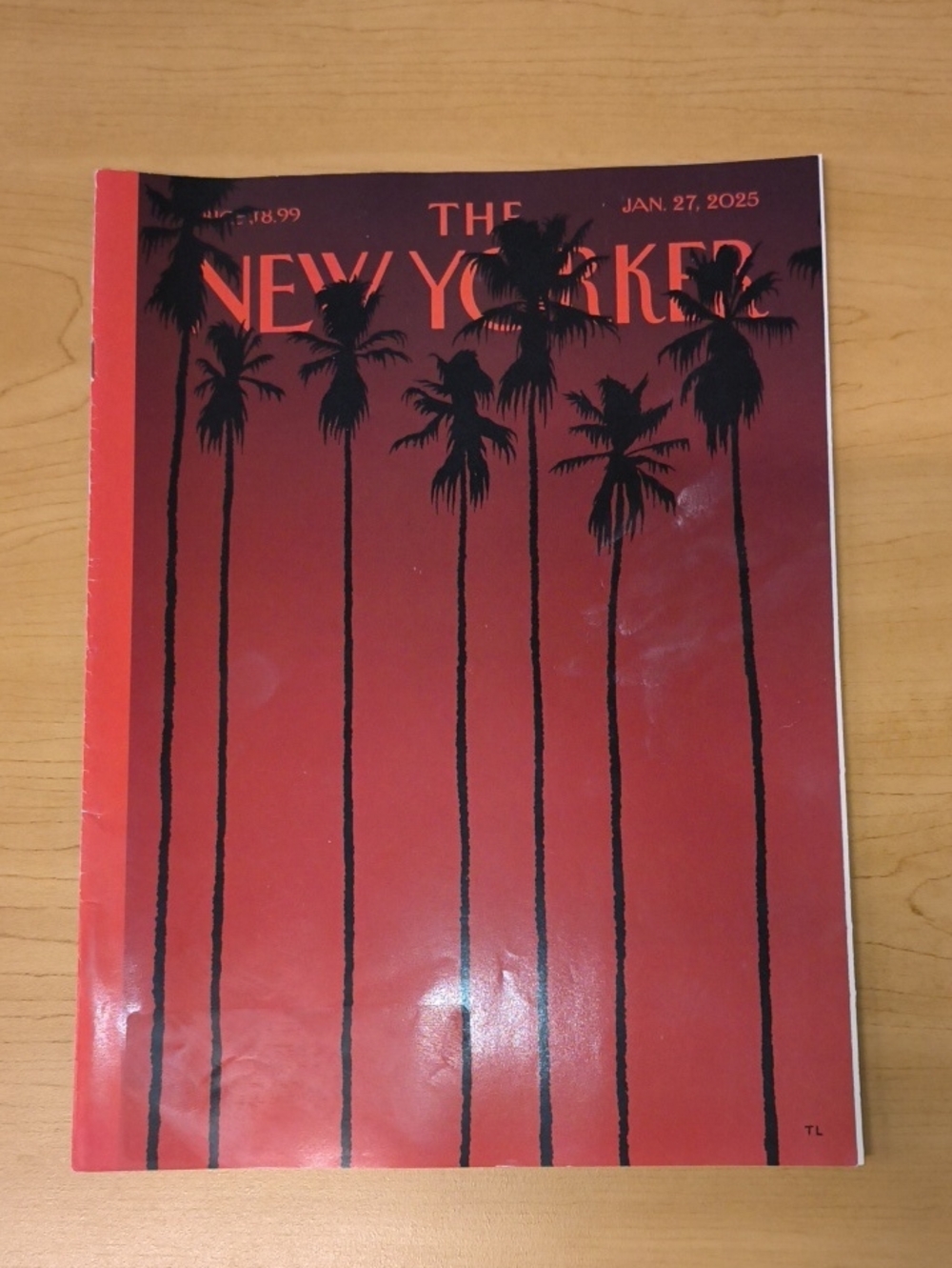 The New Yorker Magazine Till Lauer’s “Flames and Shadows” :Jan 27, 2025
